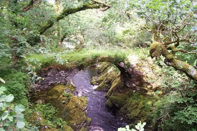 Roman Bridge