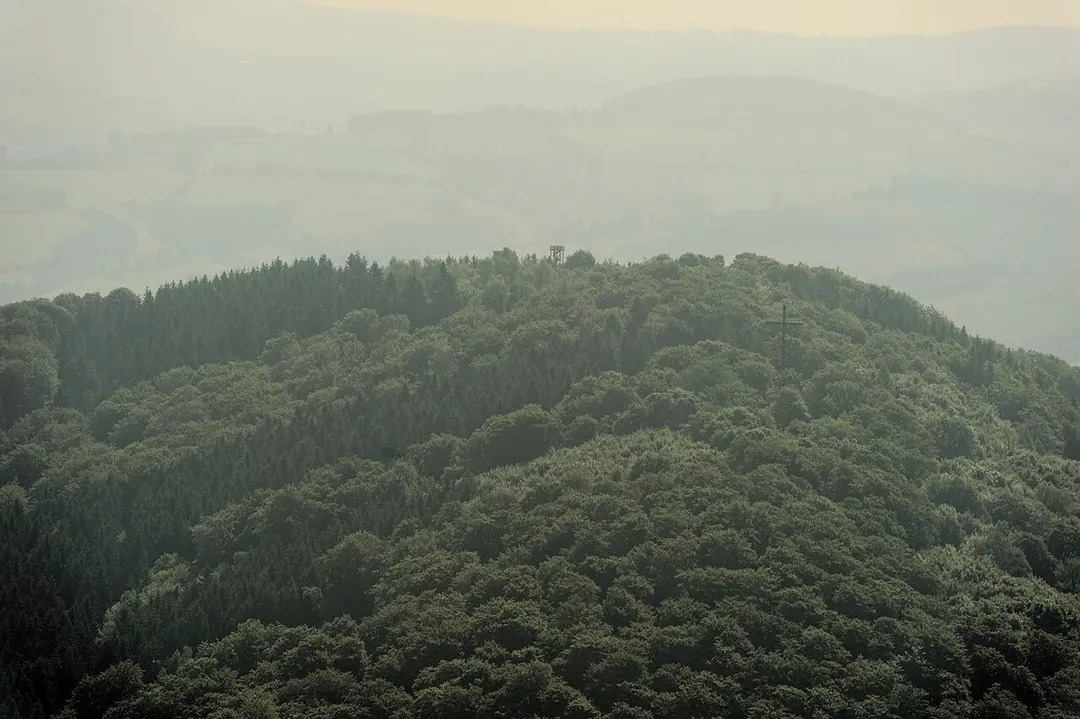 Wilzenberg