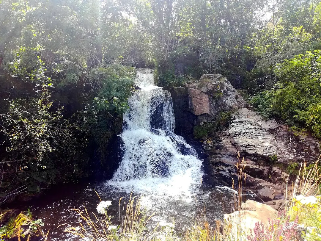 Couze d'Ardes