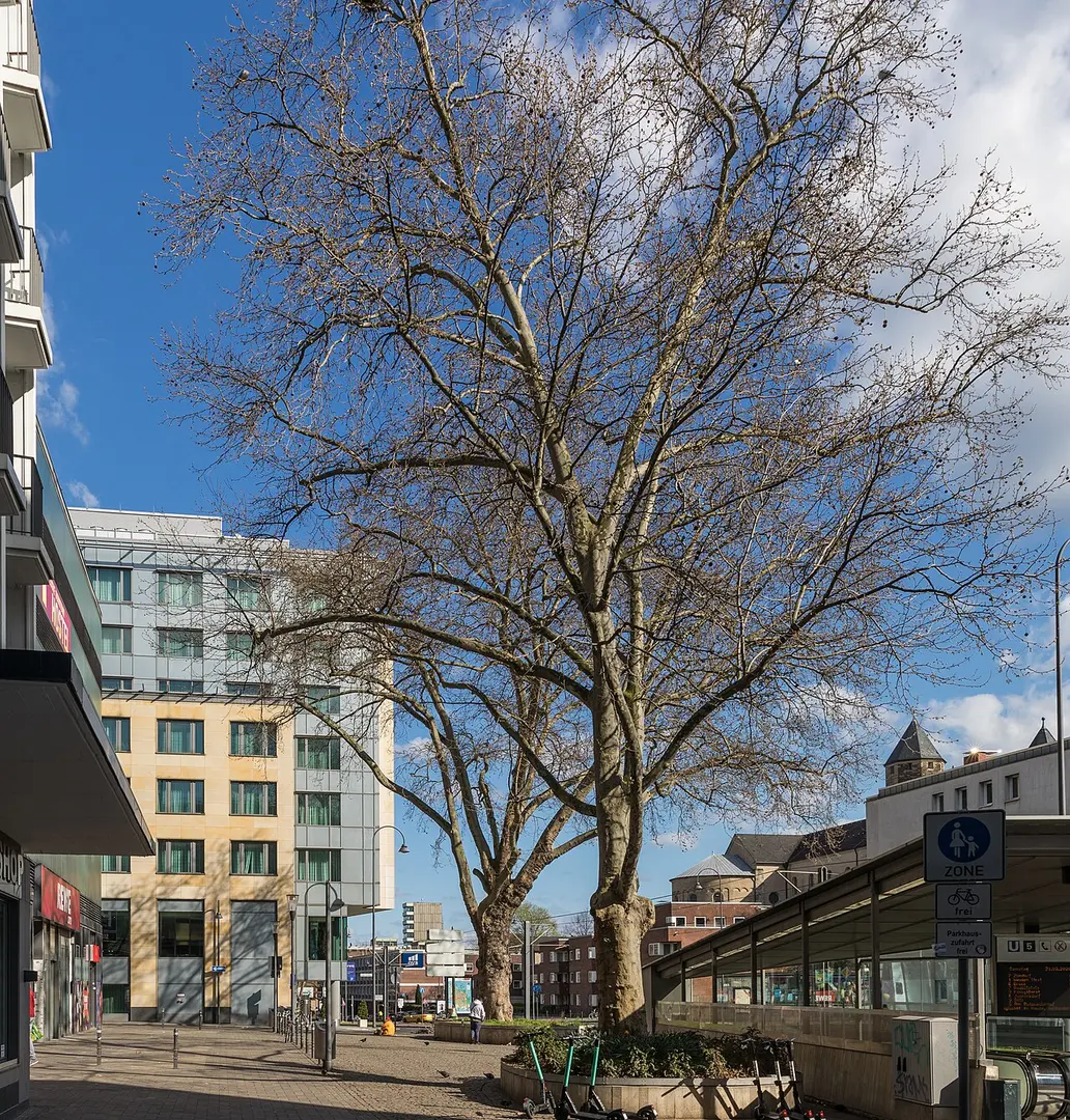 Augustinerplatz