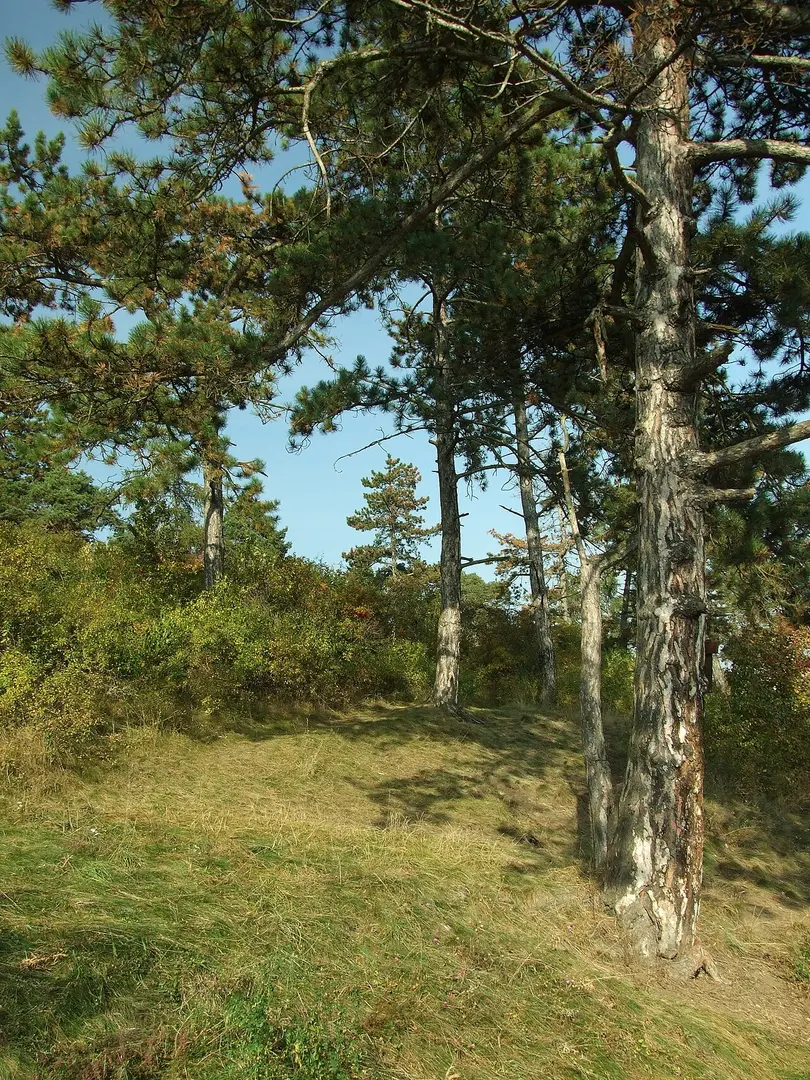 Zahořanský stratotyp