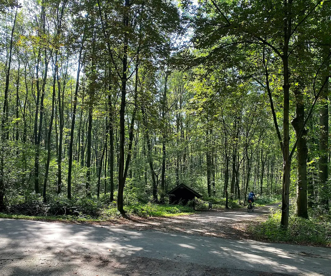 Überanger Mark - Hinkesforst