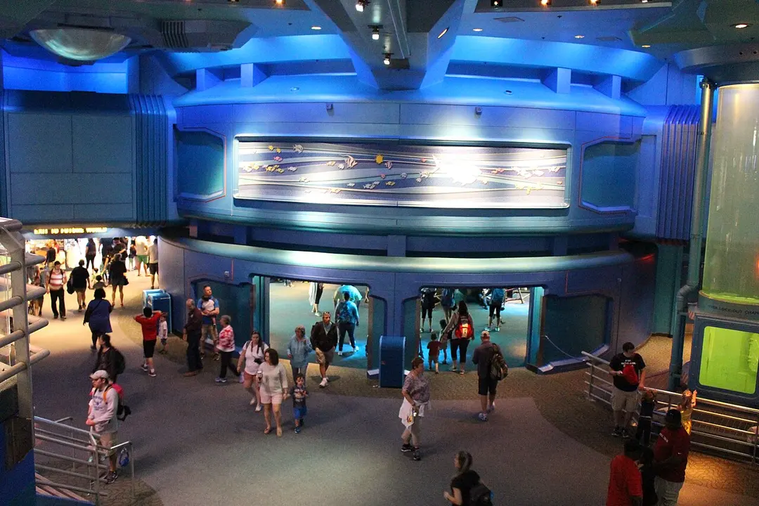 The Seas with Nemo & Friends