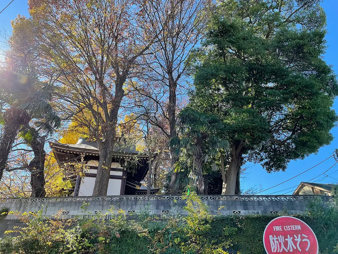 Meiji Shrine
