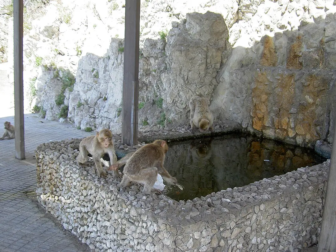 Prince Ferdinand's Battery