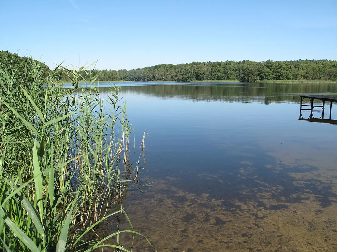 Langer See (Garzin)