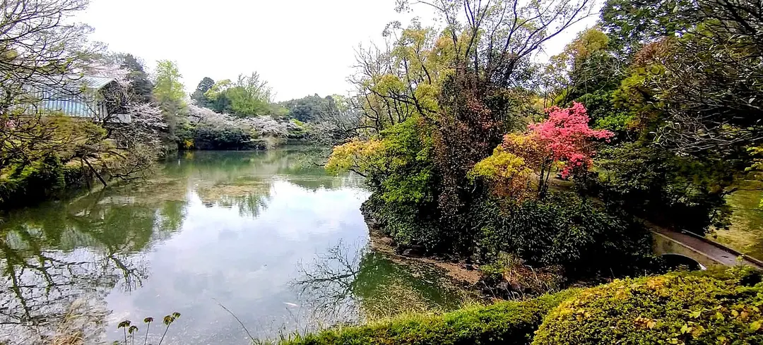 広瀬公園
