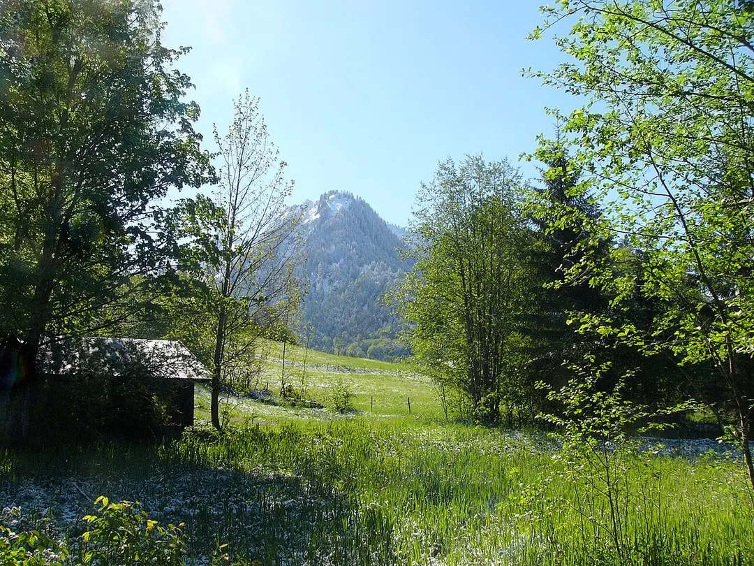 Moorweiher (Oberstdorf)