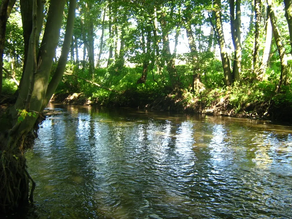 Augraben