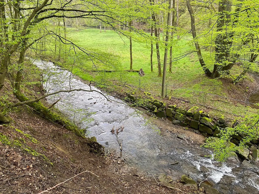 Diepmannsbachtal und Seitenbäche