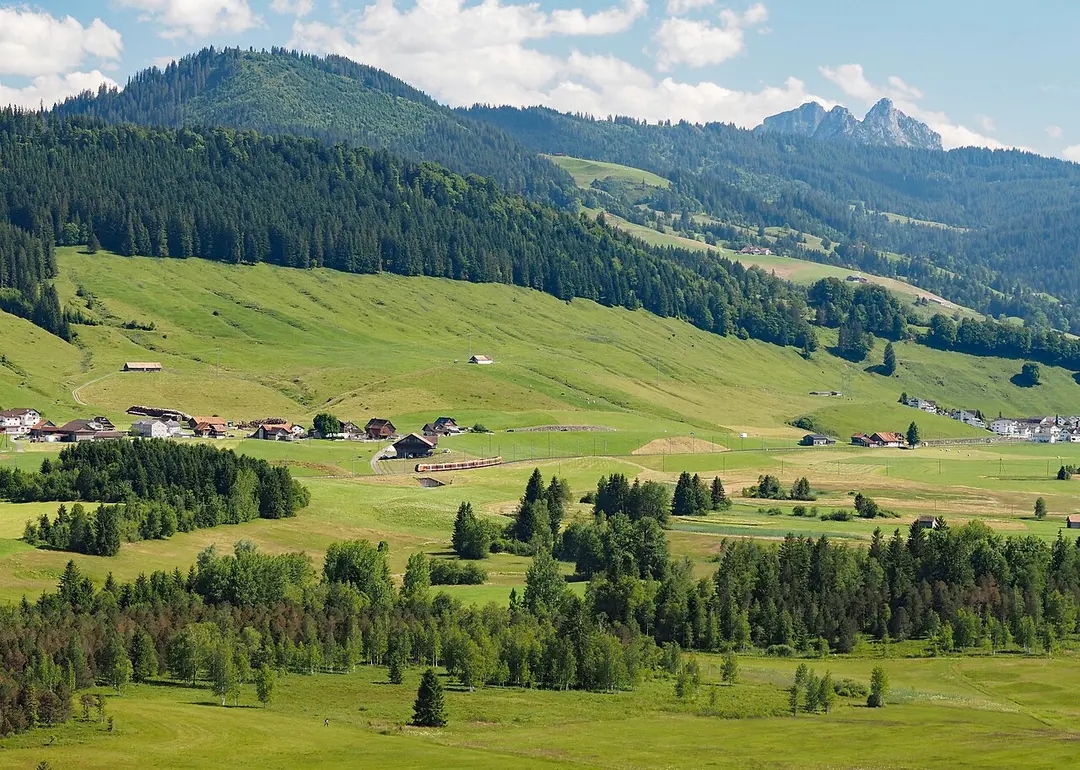 Nüsellstock