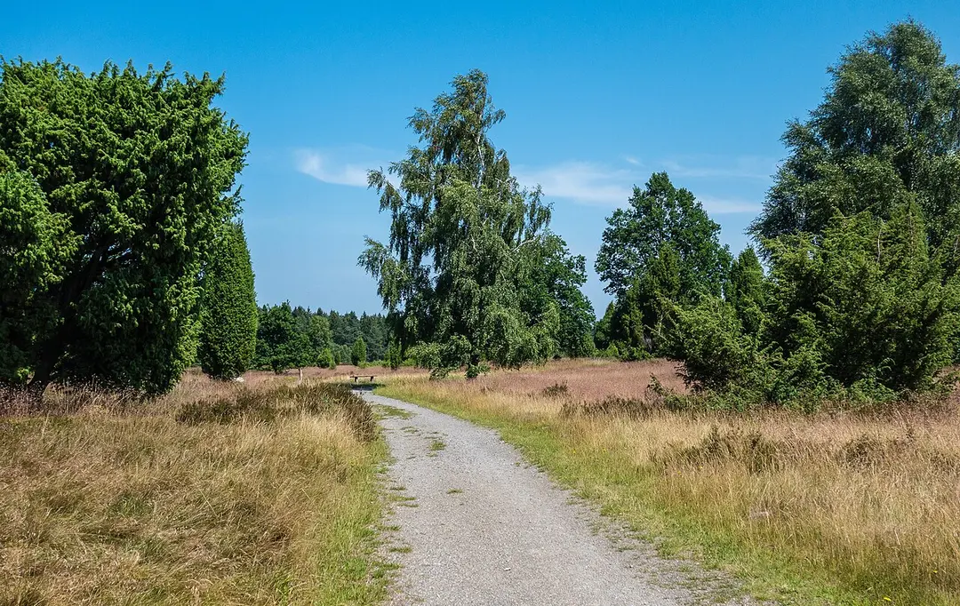 Naturschutzgebiet Lüneburger Heide