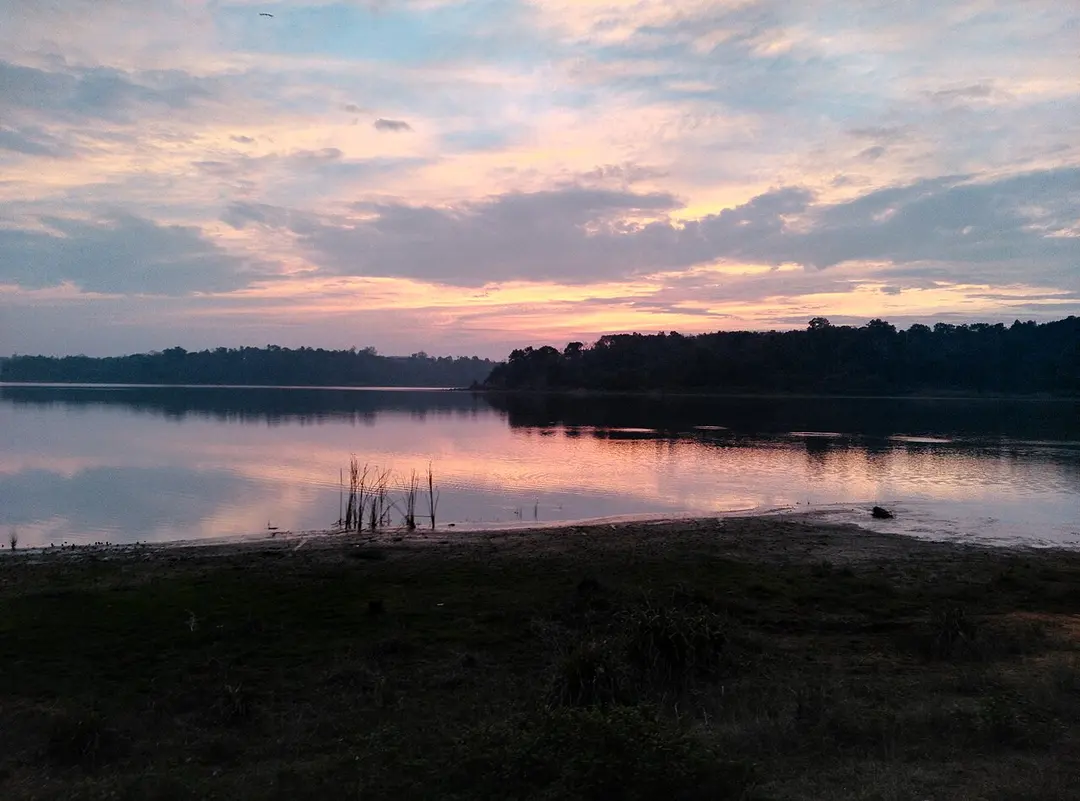 Sasthamcotta Lake