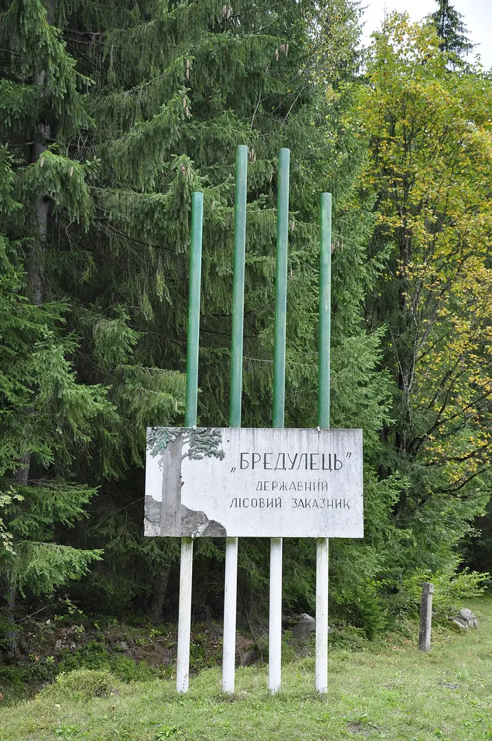 Лісовий заказник загальнодержавного значення «Бредулецький»