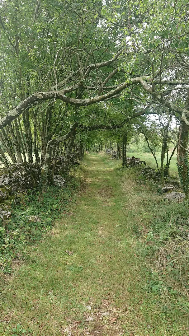 Gradišče Debela griža
