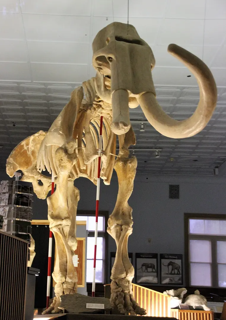 Trailside Museum of Natural History