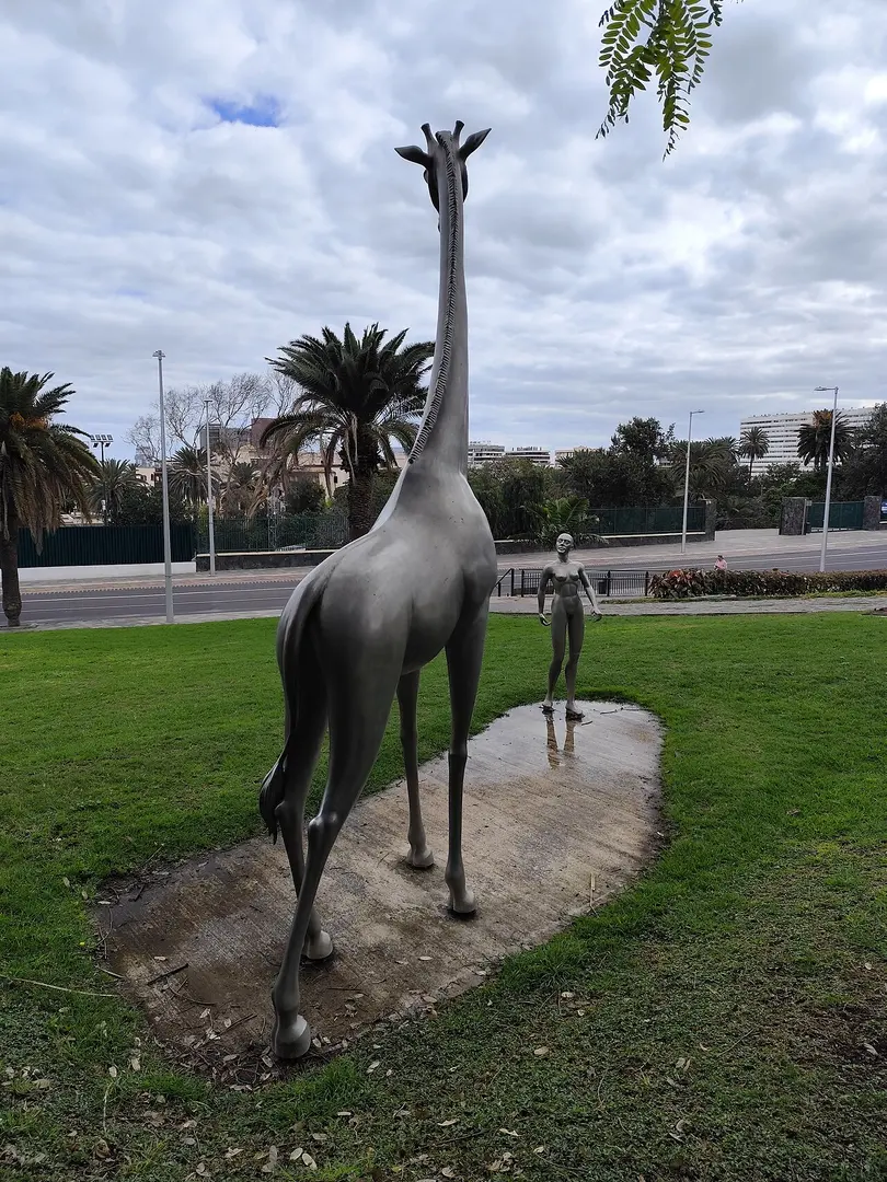 Hombre y Jirafa