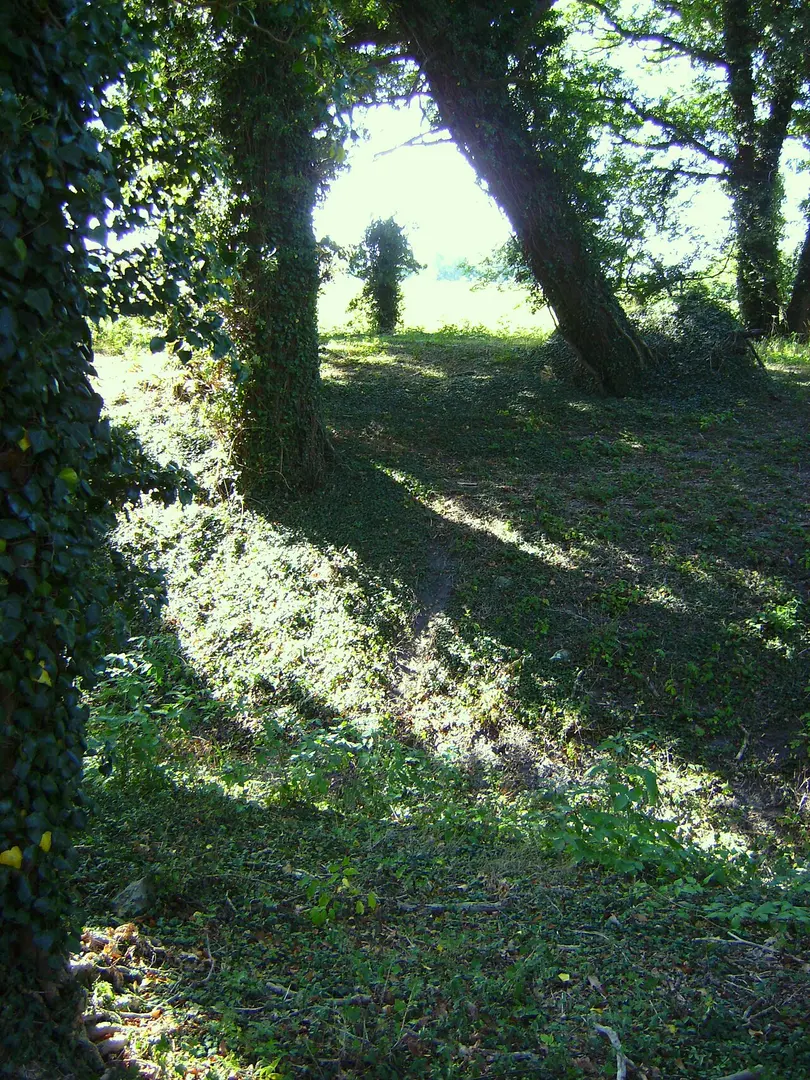 Gammelholm