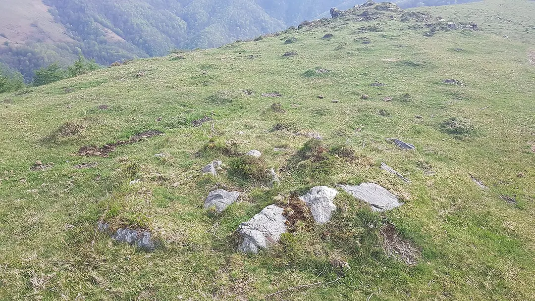 Arriurdiñetako Lepoa