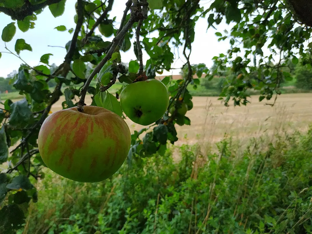 In der Erbach bei Mörlenbach