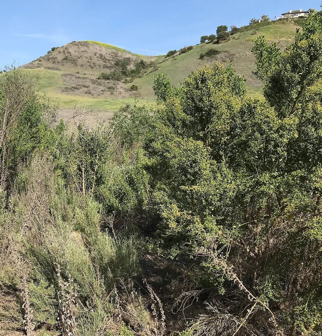 Aliso and Wood Canyons Wilderness Park