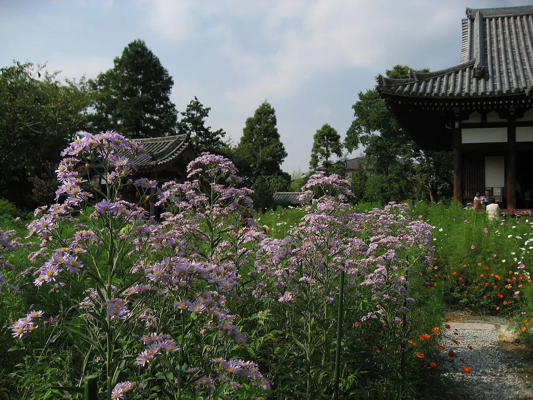 般若寺