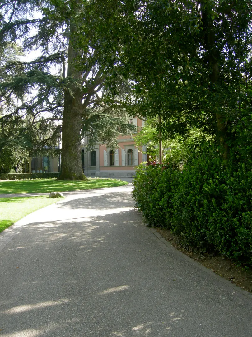 Hermitage Foundation