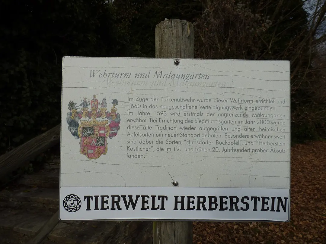 Burgruine Herberstein