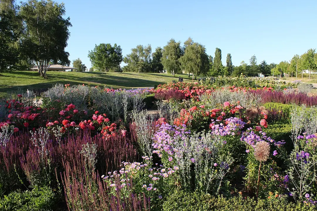 Volkspark Potsdam