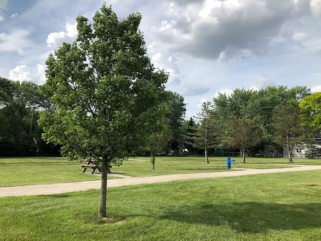 Bicentennial Park