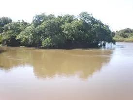 Aguapey River
