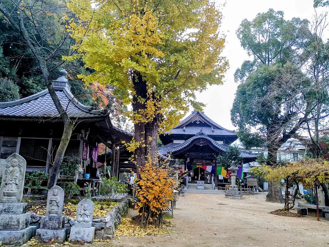 58 仙遊寺 (Senyū-ji)