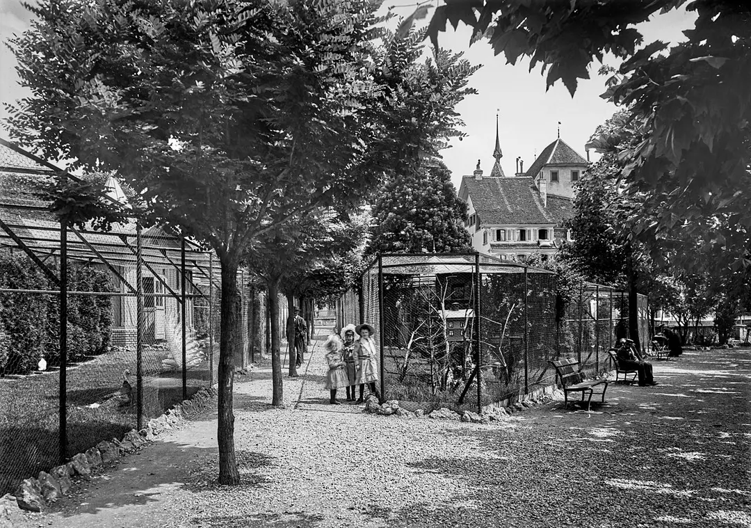 Bažantnice