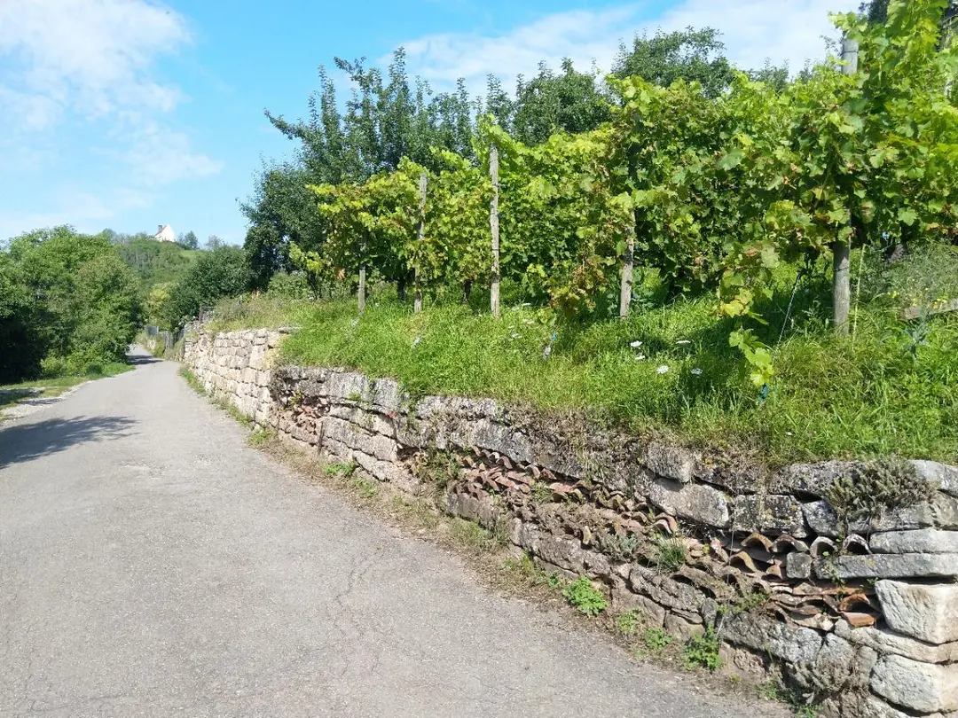 Spitzberg