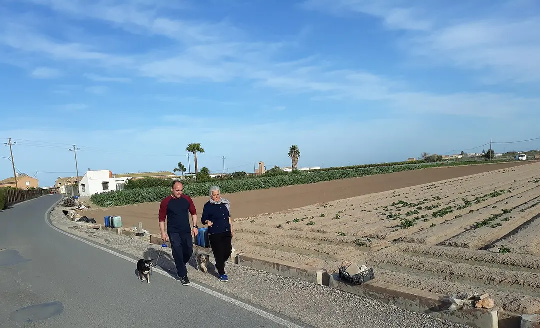 Ajuntament de Foios