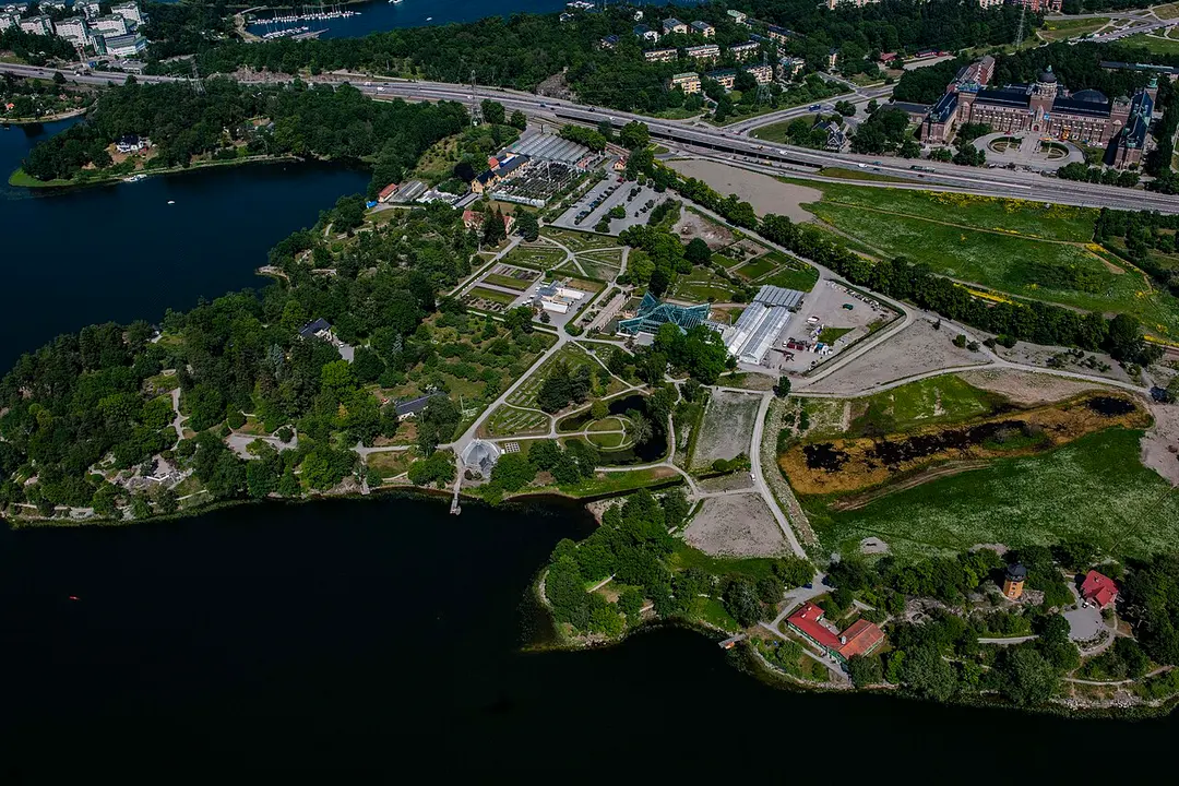Bergianska trädgården