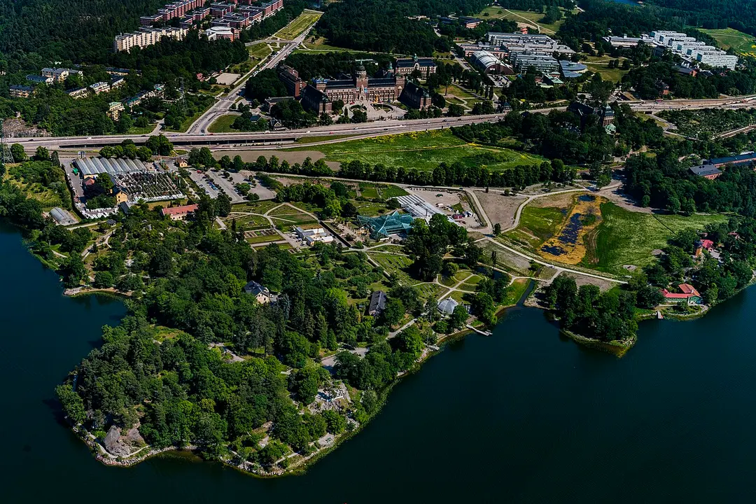 Bergianska trädgården