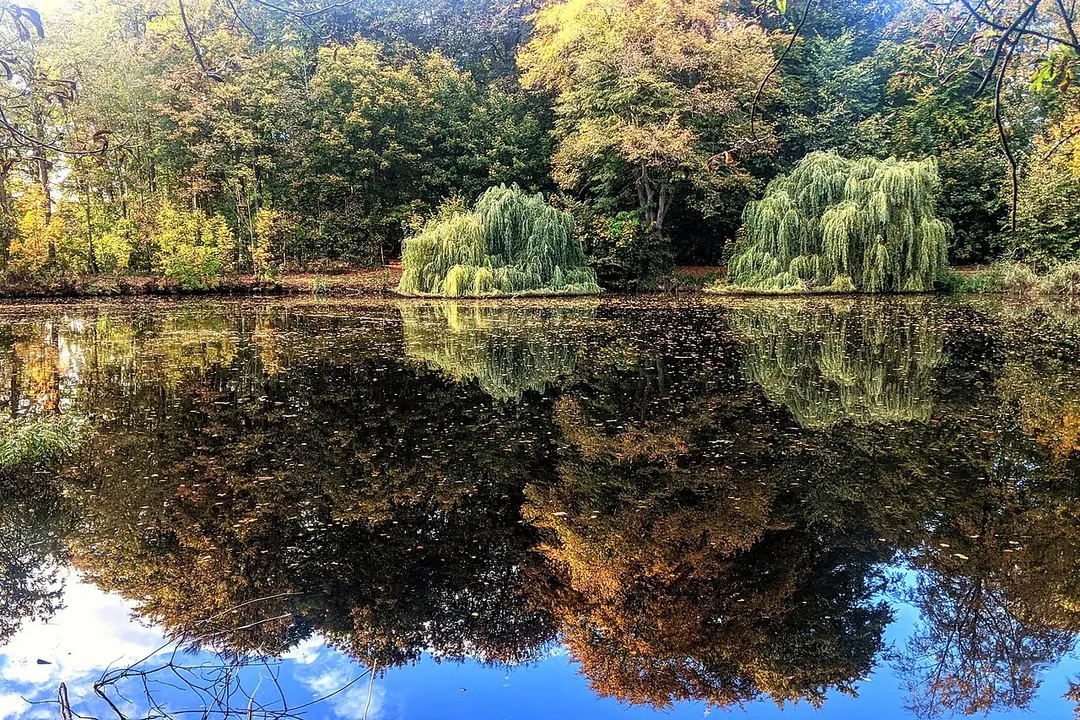Kurpark