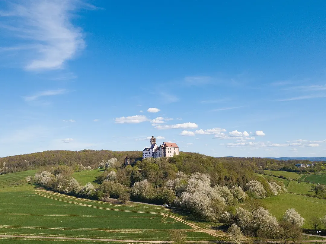 Burg Ronneburg