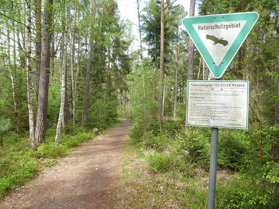 Neubäuer Weiher