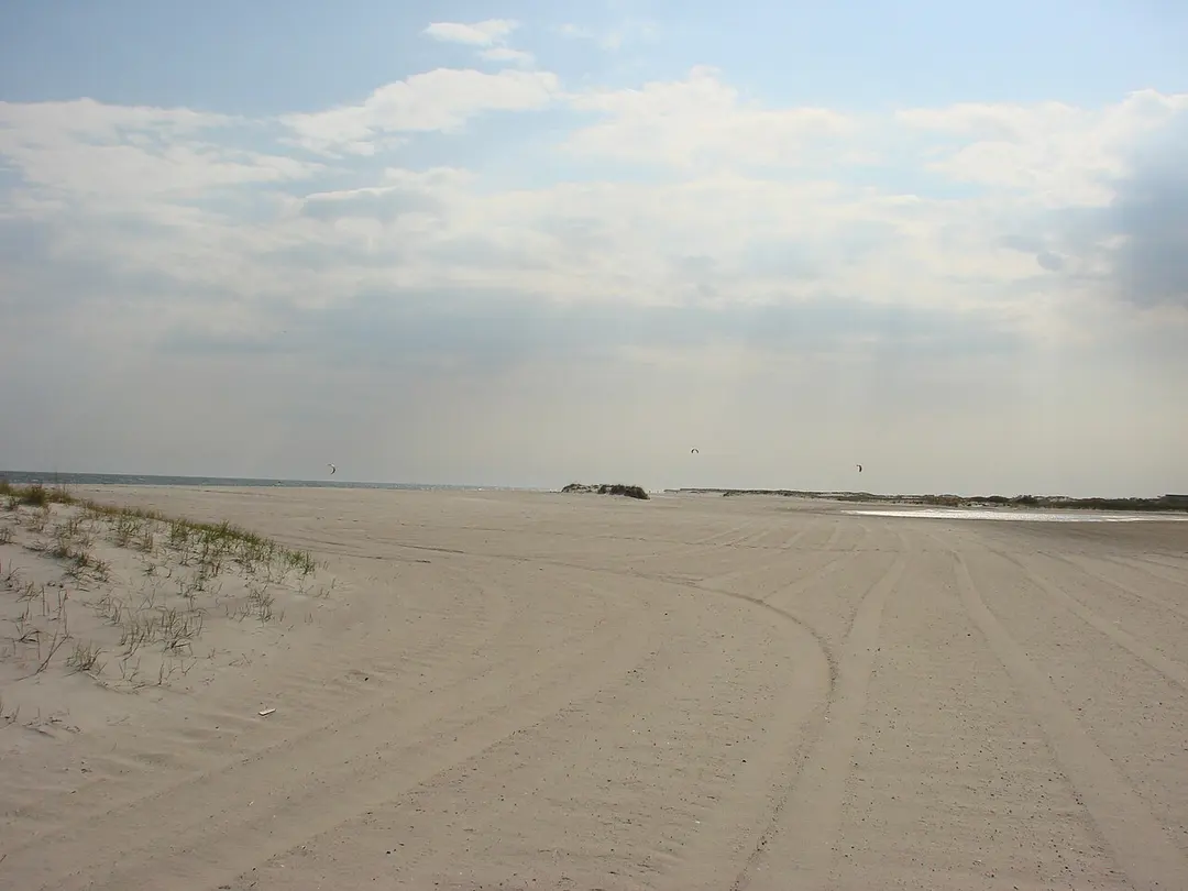 Robert Moses State Park (Long Island)