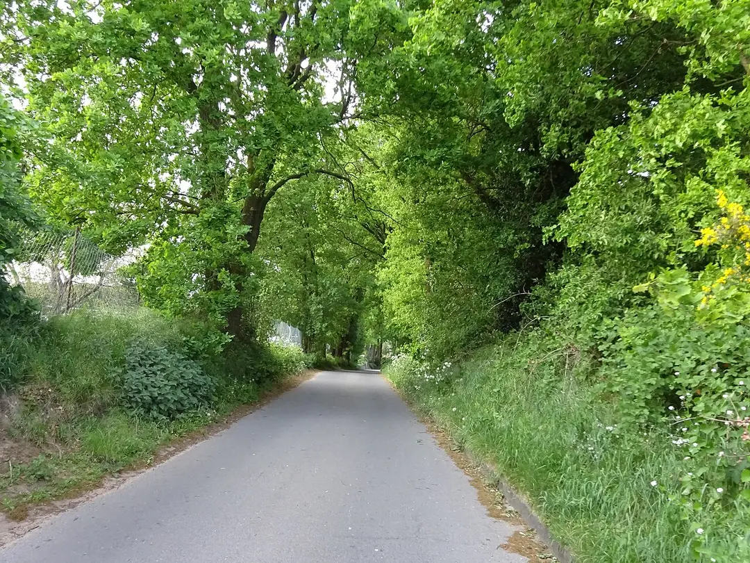 Beginenberg