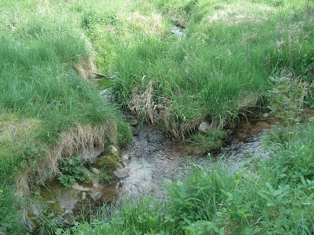 Steinbach