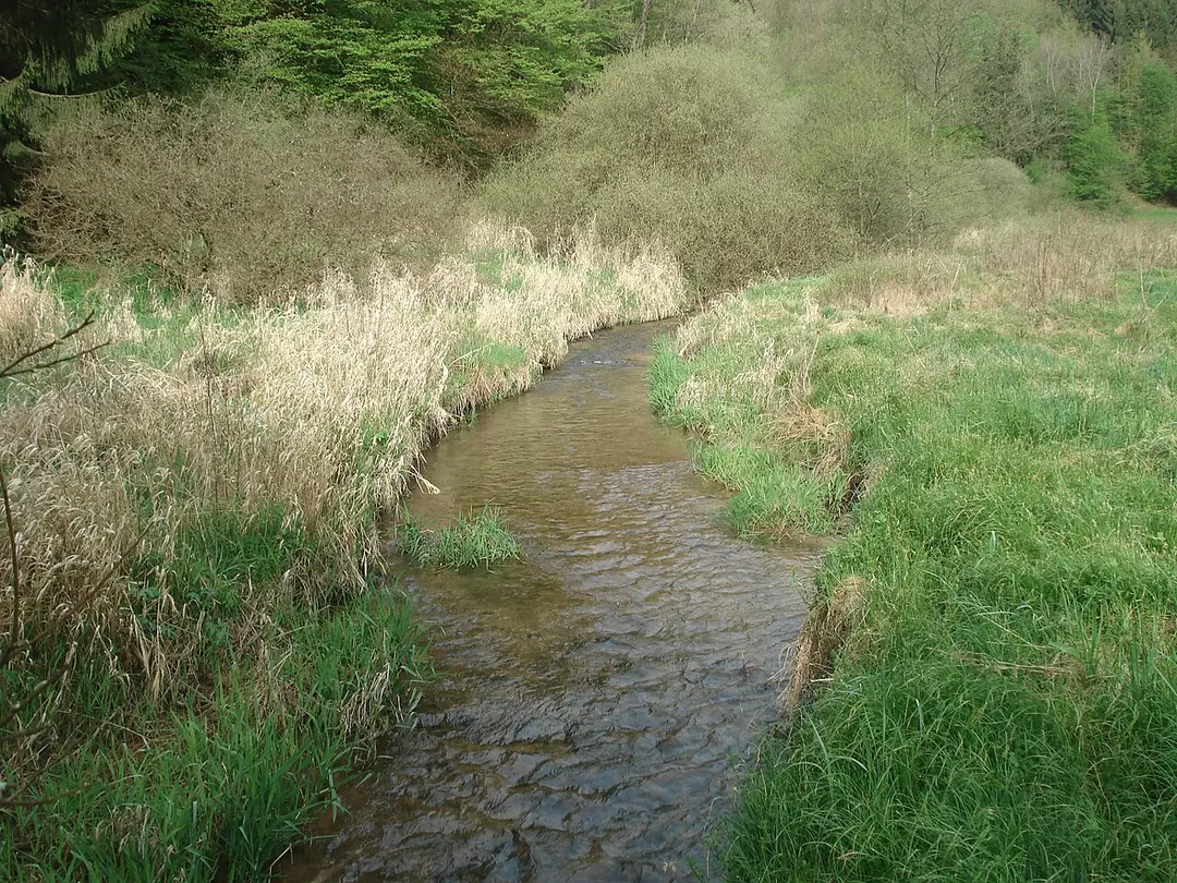Steinbach