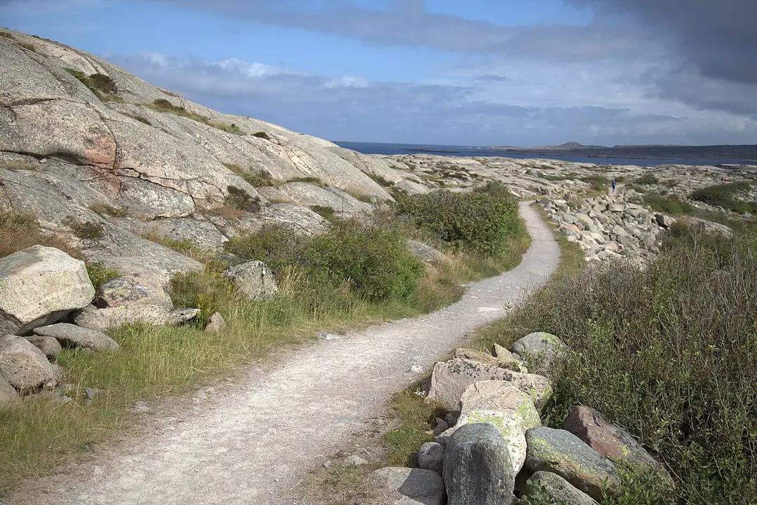 Sandöns naturreservat