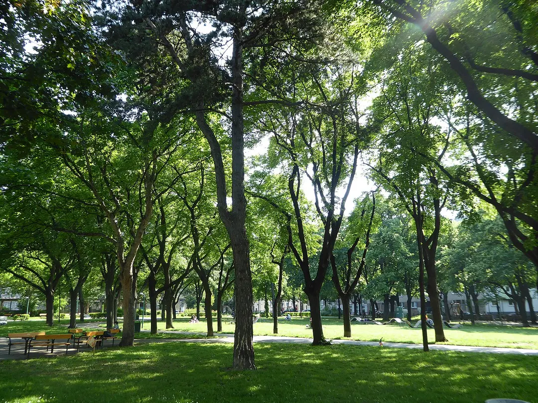 Haydnpark