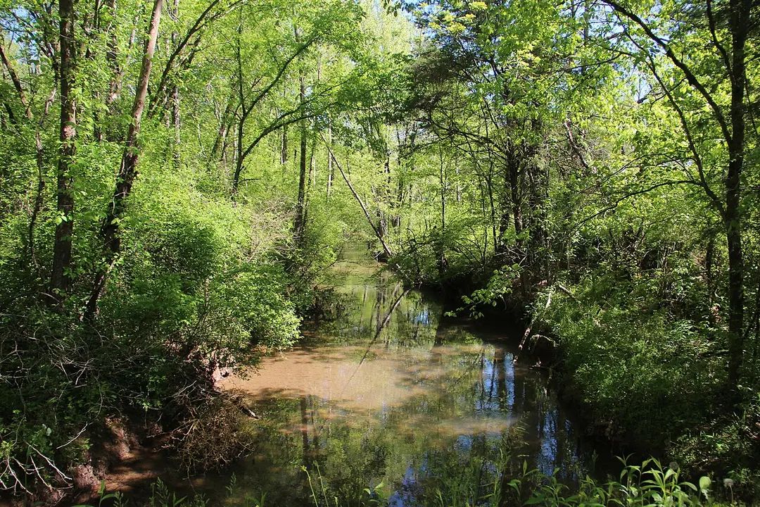 Connesena Creek