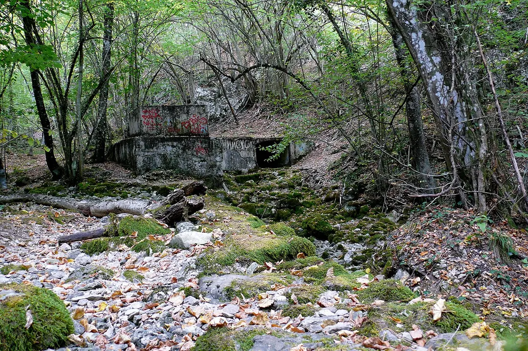 Büyük Özenbaş