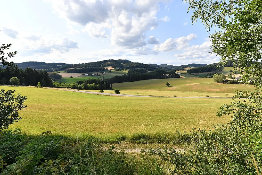 Buchberg
