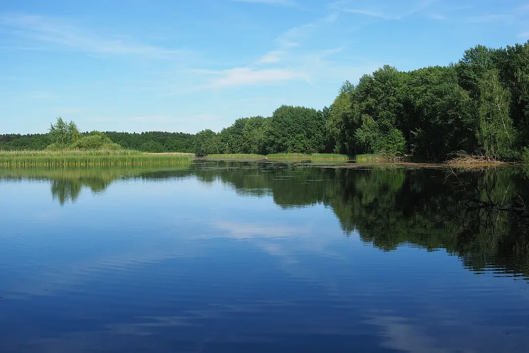 Lugteich bei Grüngräbchen